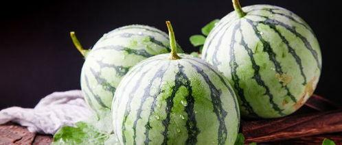 西瓜从结瓜到吃瓜要多久,西瓜从播种到品尝的奇妙旅程