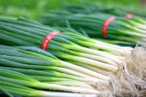 老粮仓吃瓜,吃瓜群众的欢乐盛宴