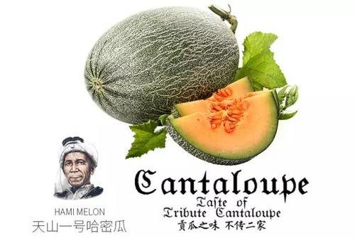 官号吃瓜,吃瓜群众带你领略幕后风云