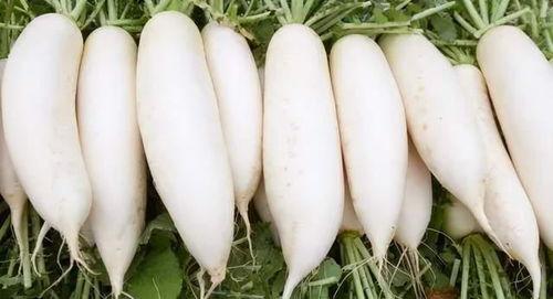 刘大瓜吃萝卜,一场味蕾与文化的碰撞之旅