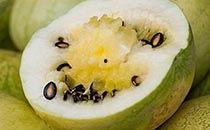 吃籽瓜养身,天然绿色，健康生活新选择