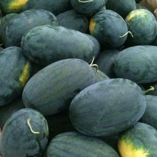 武汉高校吃瓜全集,一场校园风云录