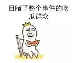 吃瓜粉丝的事情,揭秘娱乐圈幕后故事