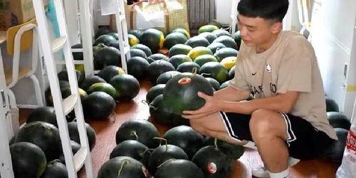 河南学校宿舍吃瓜,揭秘校园食品安全疑云