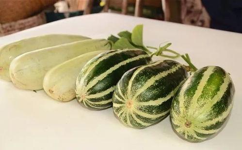 网红吃瓜.coe,揭秘娱乐圈幕后真相