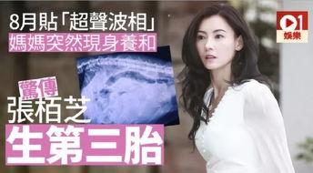 06年学妹吃瓜,揭秘校园风云背后的真相