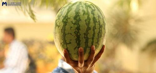 最近火爆吃瓜事件,揭秘近期火爆吃瓜事件背后的真相与幕后黑手