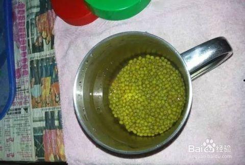 吃瓜的可乐瓶子,可乐瓶中的夏日风情