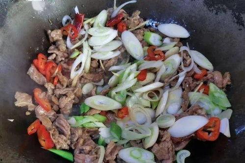 瓜老幺吃牛肉,舌尖上的美味探索之旅