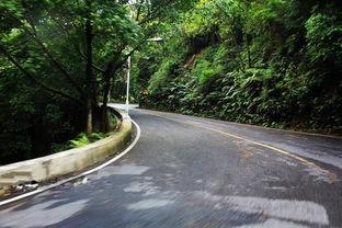 交通路吃瓜,交通路边的那些“吃瓜”故事