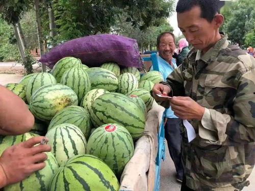 吃瓜说天下,吃瓜群众视角下的时事风云