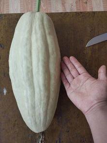 叶圣吃瓜,揭秘娱乐圈背后的那些事儿