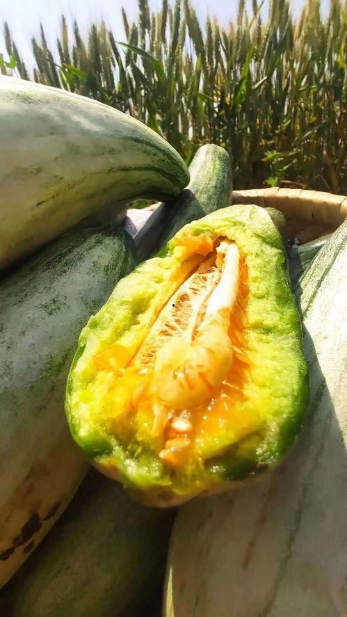 让我们静静吃瓜,揭秘娱乐圈幕后故事