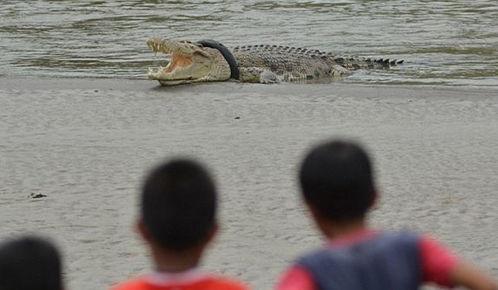 梦见吃瓜的人死了,吃瓜人离世背后的寓意与启示