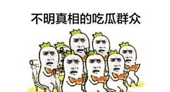 单身后吃瓜群众会,吃瓜群众眼中的爱情百态