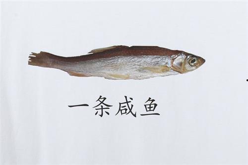 吃瓜的咸鱼君,揭秘娱乐圈那些事儿