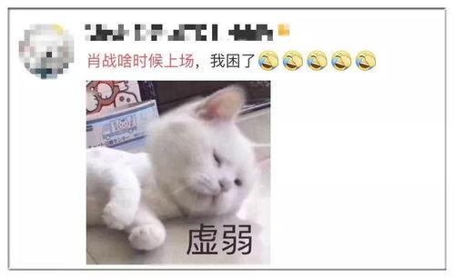 吃瓜段子图文大全,吃瓜段子图文大全精选集锦