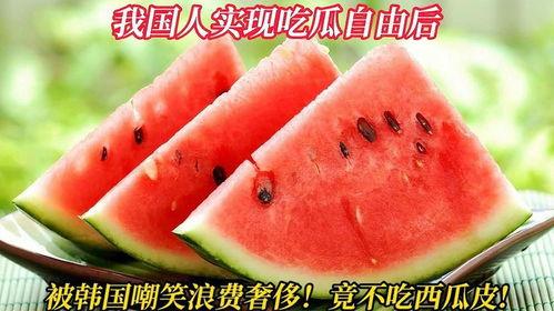 中国吃瓜网站,网络舆论场上的“瓜王”风云