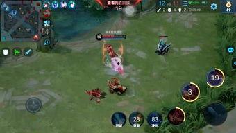 吃呱呱的瓜,揭秘“吃呱呱”瓜的神秘魅力与流行趋势