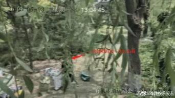 隐藏吃瓜剧情,隐藏吃瓜剧情大揭秘