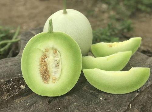 吃瓜入口 - 吃瓜入口,网络热词背后的文化现象