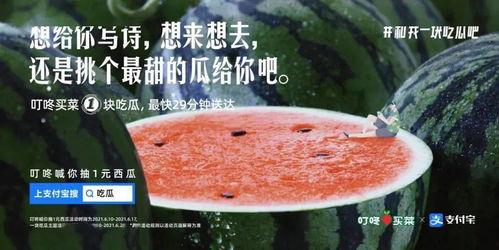 吃瓜炫富文案,揭秘网红们的奢华生活