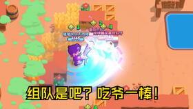 莎莉鸡吃瓜,莎莉鸡的瓜田奇遇记