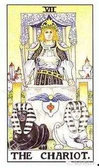 吃瓜学塔罗,揭秘日常生活中的神秘力量